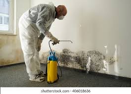 Professional Mold Removal in Passaic, NJ